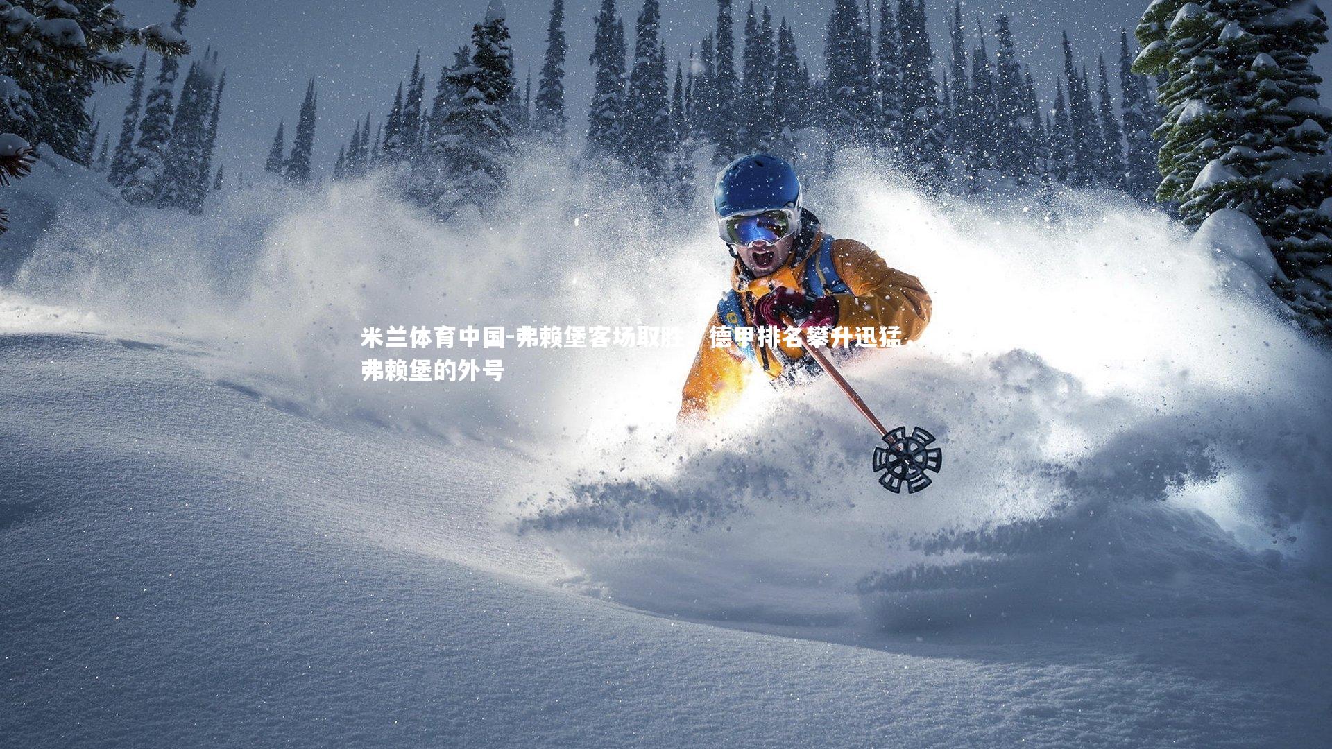 弗赖堡客场取胜,德甲排名攀升迅猛,德甲弗赖堡的外号